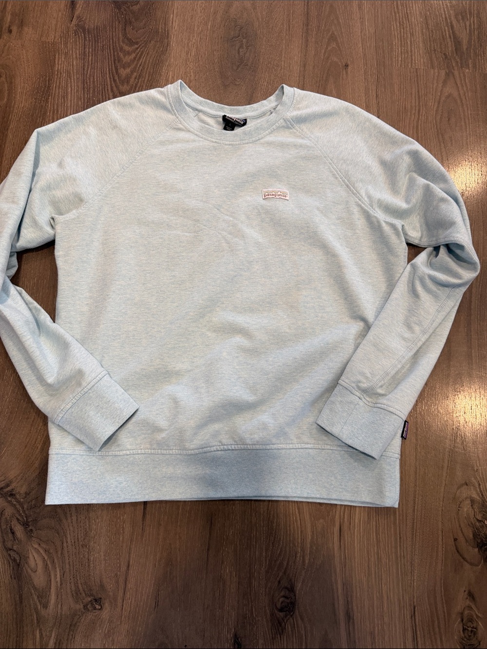 Patagonia Light Blue Crewneck Sweatshirt